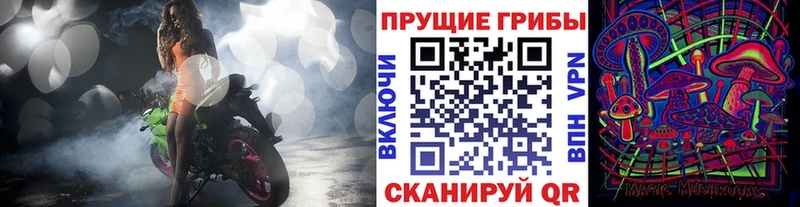 купить наркоту  Туймазы  Псилоцибиновые грибы Magic Shrooms 