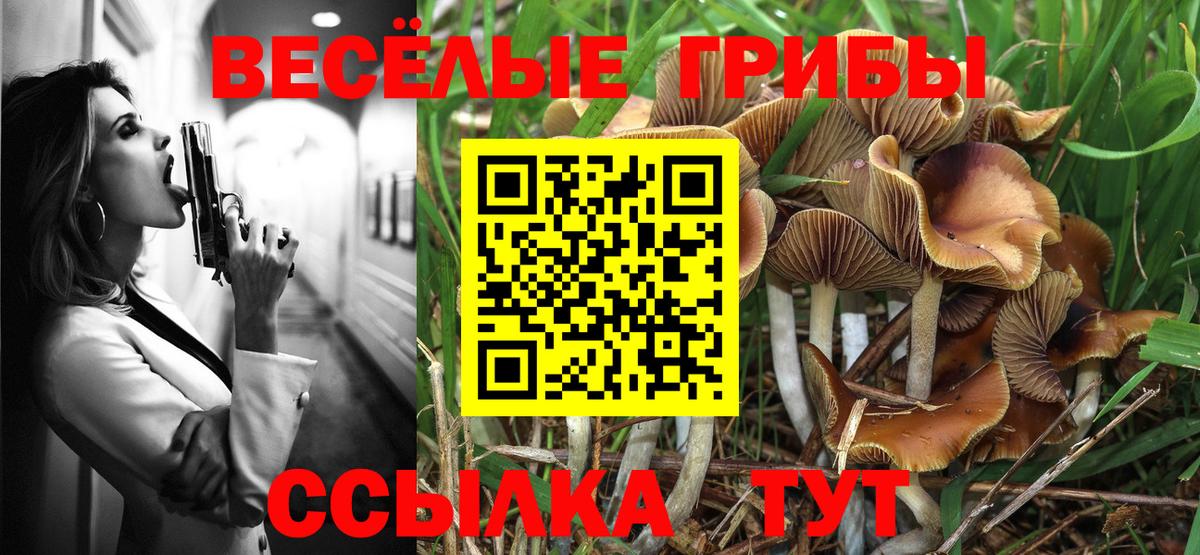 как найти   Псилоцибиновые грибы GOLDEN TEACHER  Вход с VPN  Галлюциногенные грибы ЛСД  Туймазы 