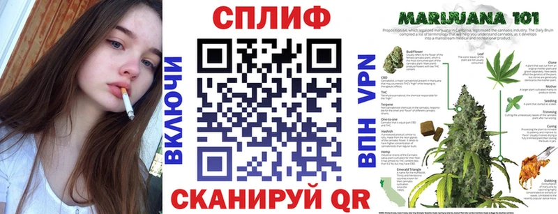 купить наркотик  Туймазы  блэк спрут tor  Бошки Шишки сатива 